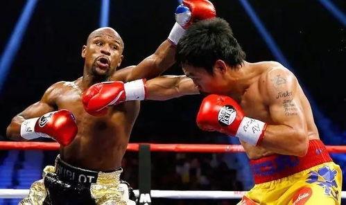 吃瓜娱乐拳击比赛视频播放